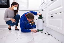 Best Pest Exclusion Services  in Stewartville, MN